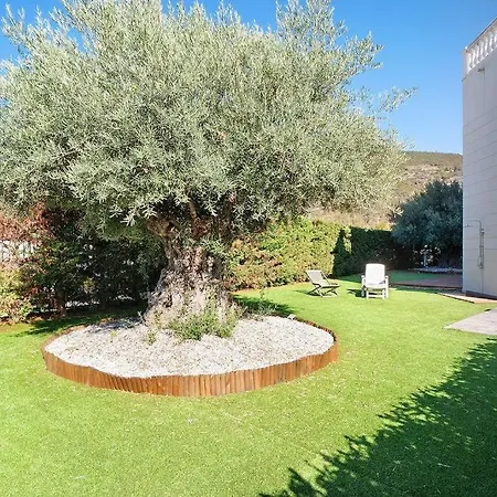 Apartman B173 - Spazioso Con Giardino Taggia